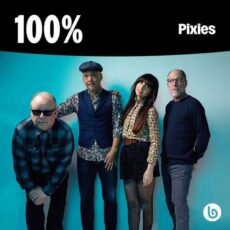 100% Pixies