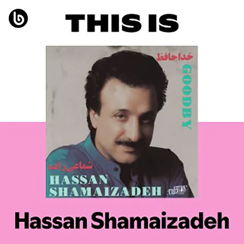 This Is HAssan Shamaizadeh copy