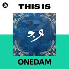 This Is ONEDAM