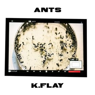 Ants