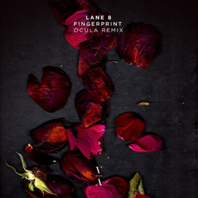 Lane 8 Fingerprint OCULA Remix