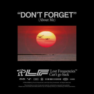 Lost Frequencies Dont Forget About Me