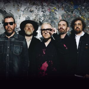 artist hot chip