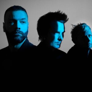 artist muse 6339