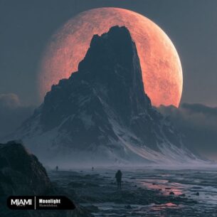 cover hamidshax moonlight 1109395312
