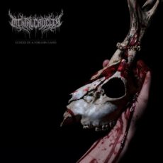 cover mental cruelty echoes of a forlorn land